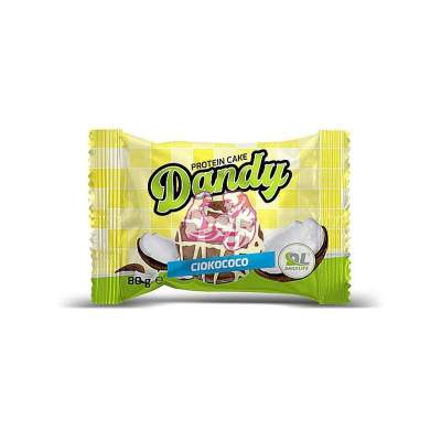 DAILlY LIFE DANDY PROTEIN CAKE 80G